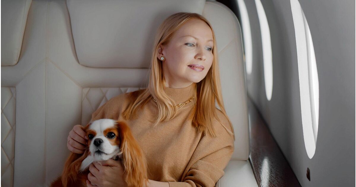 Can Pets Fly on Private Jets? A Look at Private Jet Pet Travel Blog